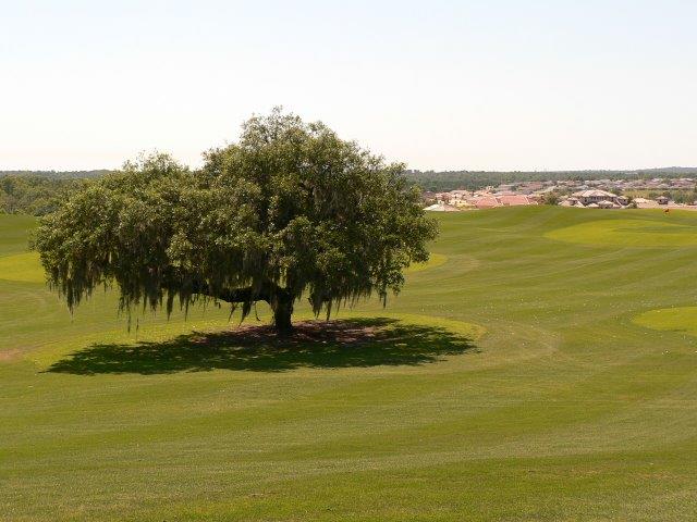 Skyview Golf Course in Citrus Hills